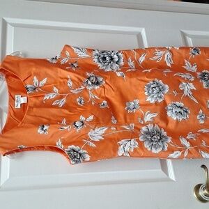 Y women's North Style lined sleeveless dress size 16.  EUC